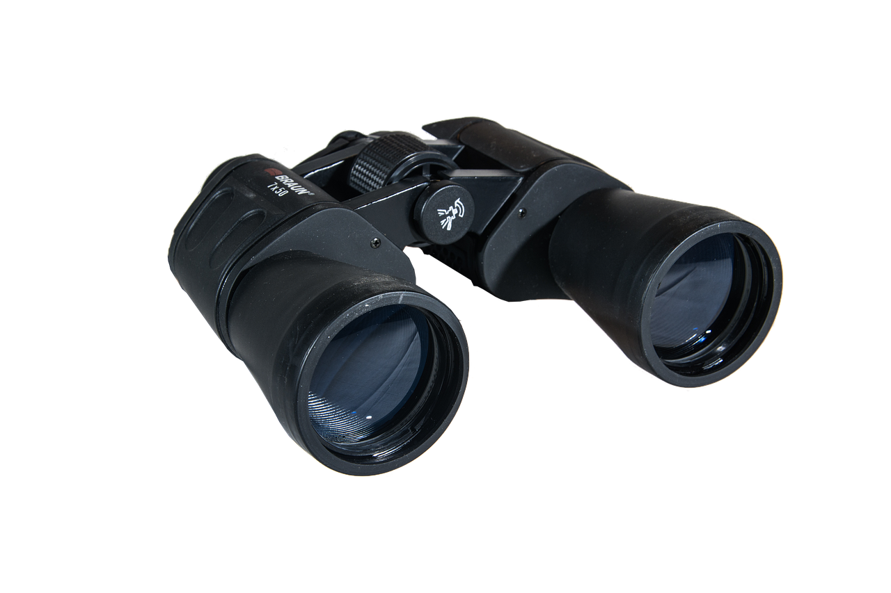 Homemade Binocular Crafts: An Adventure for Kids